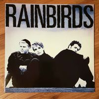 Rainbirds - Rainbirds | Pop Rock (Vinyl | Schallplatte) Daun - Steinborn Vorschau
