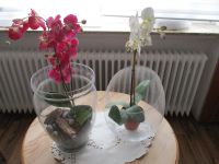 2 Glas-Kugelvasen zur Bepflanzung oder Deko Hessen - Wanfried Vorschau