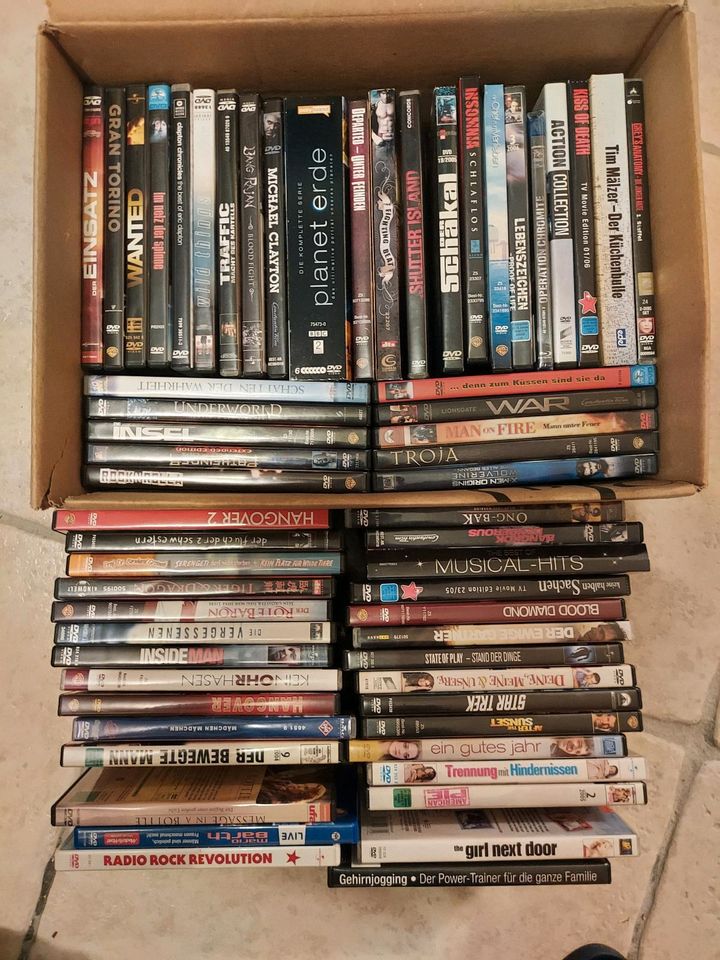 DVD Sammlung in Busenberg