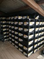 800 leere Bierkisten 20x0,5  Rahmen Rheinland-Pfalz - St. Goarshausen Vorschau