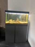 Juwel Aquarium Rio 125 LED schwarz mit Unterschrank Bayern - Spalt Vorschau
