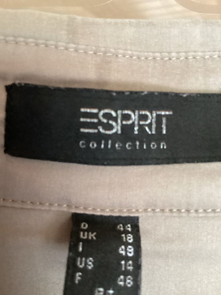 Esprit Collection Spmmerkleid in Hennef (Sieg)