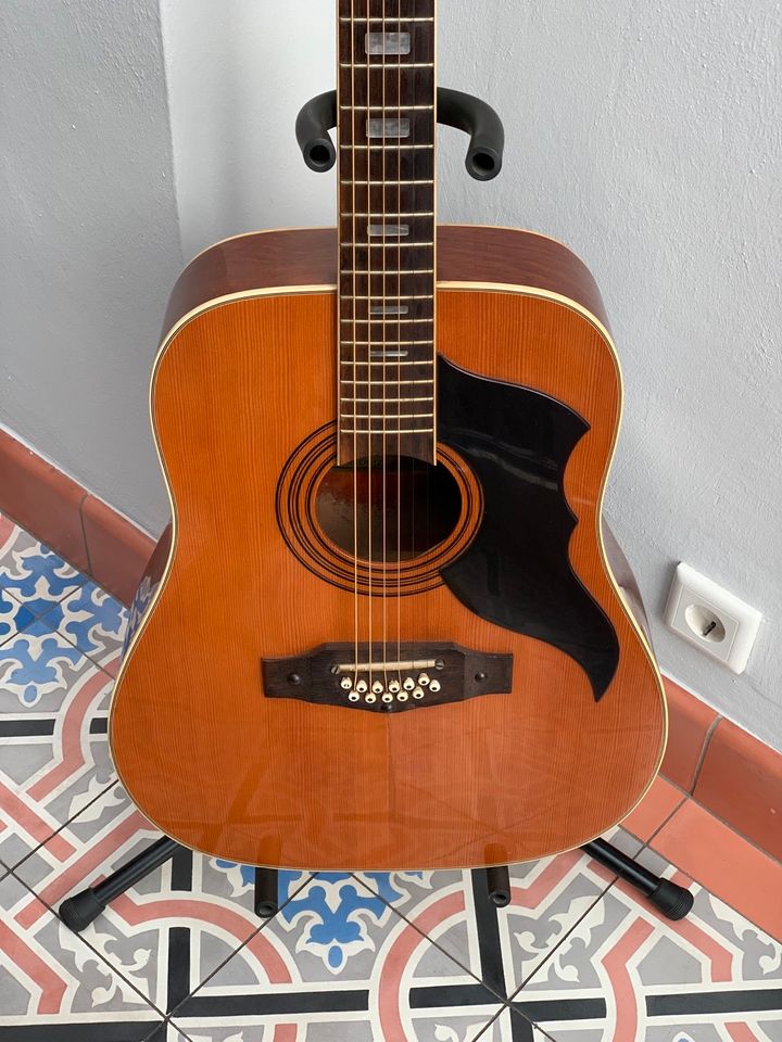 Eko Ranger 12 Corde Gitarre Made in Italy Acoustic Guitar in Sentrup