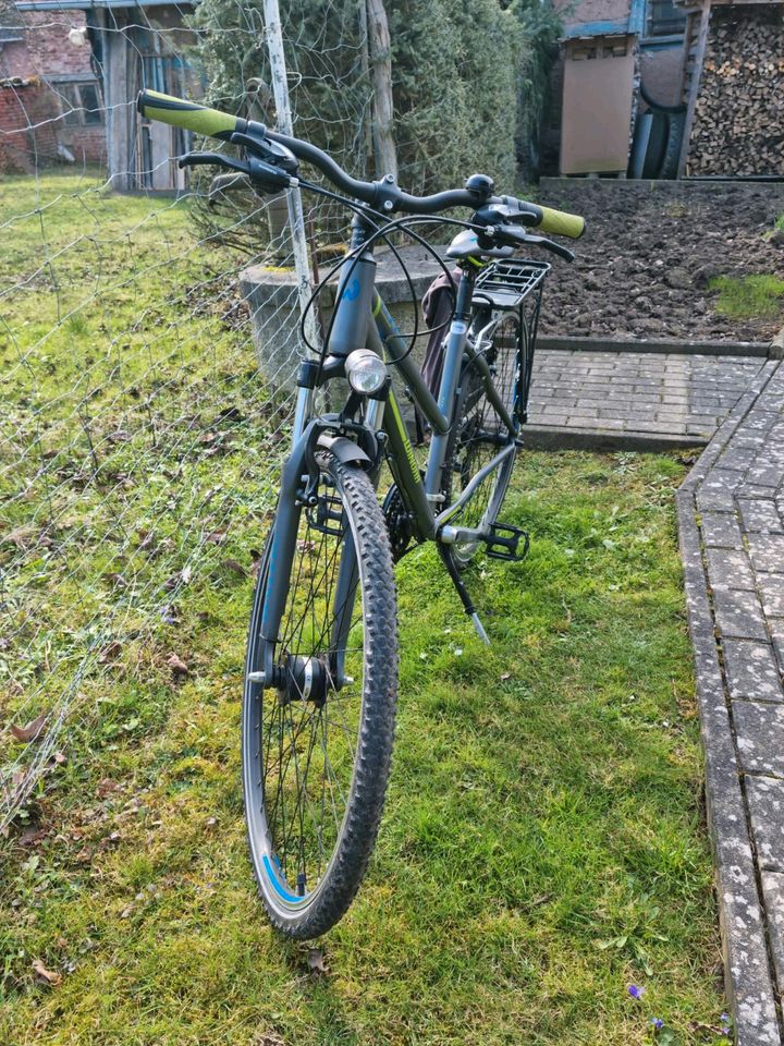 Damen Fahrrad Winora in Ferna