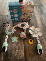 ⭐️Tiny Love Spielbogen für Kinderwagen & Co ⭐️ Nordfriesland - Vollstedt Vorschau