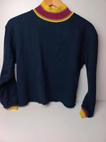 Zara Pullover s dunkelblau gelb weinrot Niedersachsen - Stelle Vorschau