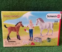 Schleich Arztbesuch bei Stute und Fohlen, 42486 Bayern - Zell am Main Vorschau