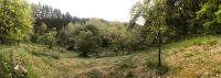 Hangwiese mit Obstbäumen als Schafweide Bayern - Stubenberg Vorschau