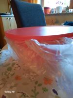 Tupperware Aloha Set 4 tlg. Niedersachsen - Verden Vorschau