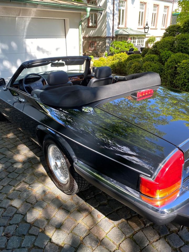 Jaguar XJS in Oberursel (Taunus)