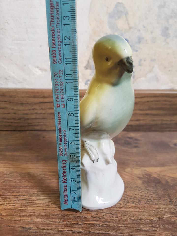 Sittich Papagei Gräfenthal Vogel Porzellan Keramik Deko Figur in Jena