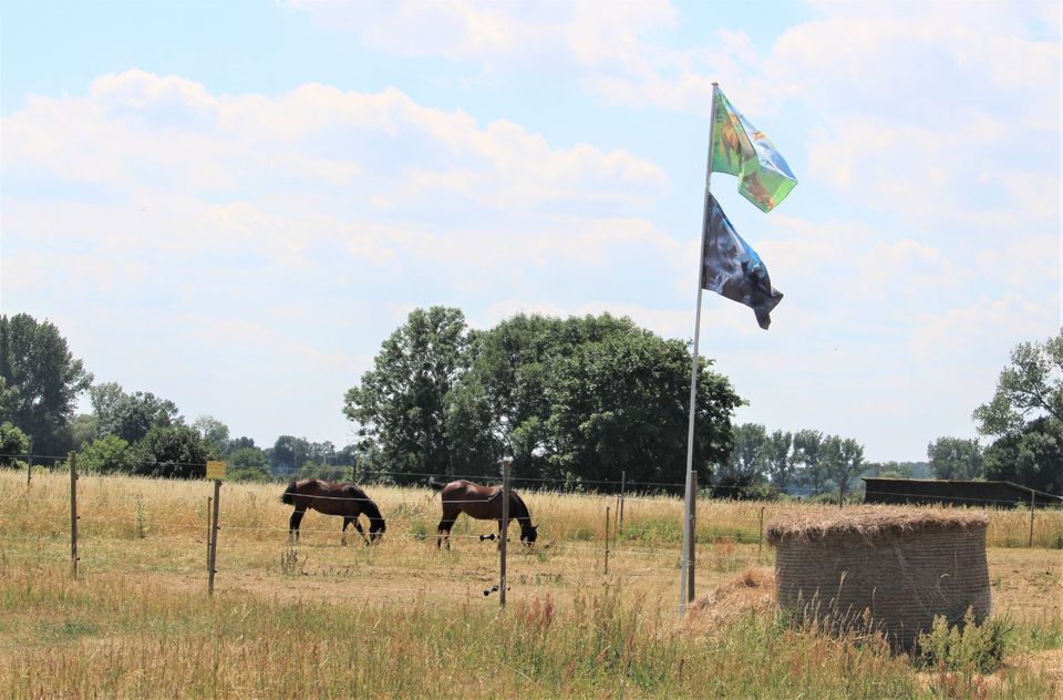 Vereinsmitglieder für Horse&Rider e.V. in Berlin