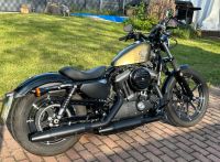 Harley Davidson Iron 883 Rheinland-Pfalz - Worms Vorschau