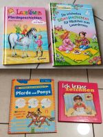 Kinderbücher Leselöwen Zeichnen lernen Pferde 1. Klasse Rheinland-Pfalz - Biebelsheim Vorschau