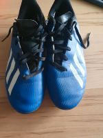 Fußballschuhe Gr 38 Bayern - Mainleus Vorschau