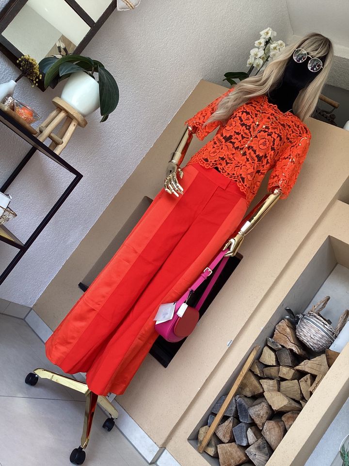 Sandro Bluse , orange, Spitze , transparent in Viernheim