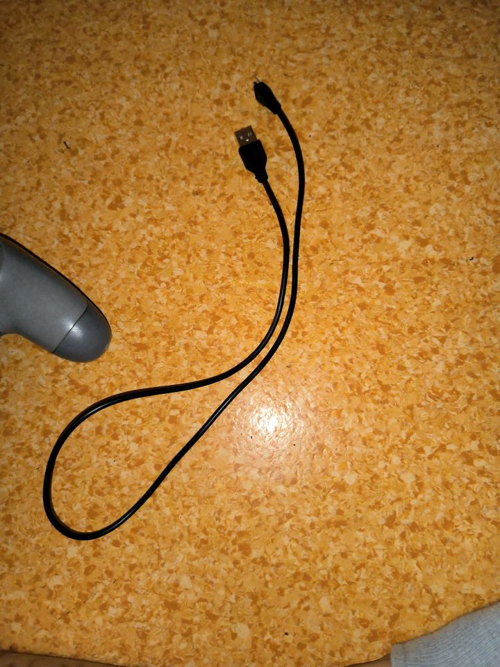 Sony Playstation 4 Controller Grau| Standard +Kabel in Marl
