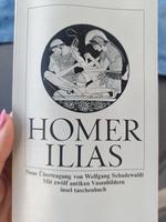 Ilias Homer Buch Lesebuch auf Deutsch Bayern - Regensburg Vorschau