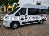 Suche Camper bis 45000 Euro Schleswig-Holstein - Schleswig Vorschau