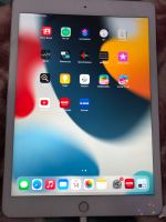 Apple iPad 8 32GB Wifi Space Grau 10,2 Zoll A2270 gebraucht DV42 Rheinland-Pfalz - Bad Kreuznach Vorschau