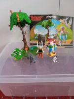 Playmobil Asterix Wildschweinjagd Sachsen-Anhalt - Tangermünde Vorschau