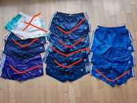 Adidas Nylon Sprinter Shorts M Blau Lila Weiß Retro 80s Hessen - Roßdorf Vorschau