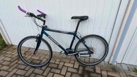 Giant Cadex CFM 4  MTB Carbon 26 Zoll RH16 Sachsen - Frankenberg (Sa.) Vorschau