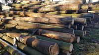 Brennholz von Privat 4 bis 5 Meter lang Bayern - Wildenberg Vorschau