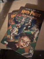 Harry Potter und der Stein der Weisen Baden-Württemberg - Freiburg im Breisgau Vorschau