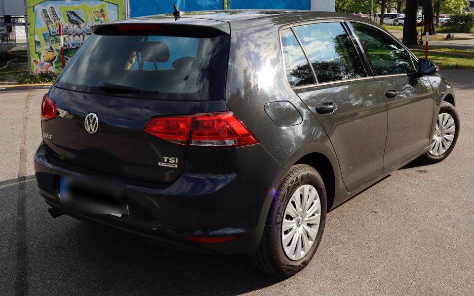 Volkswagen VW Golf 7 TSI Bluemotion in Dresden