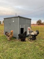 Mobilerstall Hühner-, Enten-, Gänse-,Hasen-,usw Futterlager Thüringen - Erfurt Vorschau