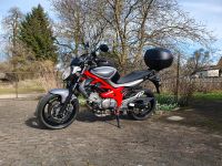 Suzuki Gladius Baden-Württemberg - Amstetten Vorschau