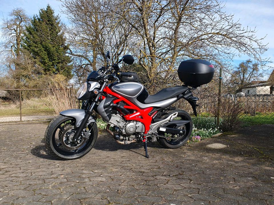 Suzuki Gladius in Amstetten