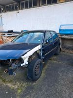 VW Golf 4 1.6 16v Brandenburg - Templin Vorschau