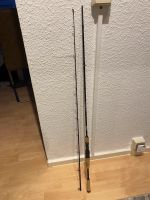 Sportex Captor RS-2 Baitcast/Spinnrute Sachsen-Anhalt - Halle Vorschau