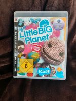 PS3 Spiel Little Big Planet Sachsen-Anhalt - Diesdorf Vorschau