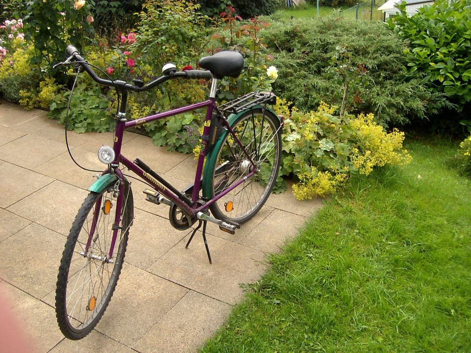 Fahrrad DIAMANT in Neuhaus