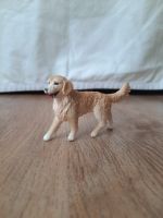 Schleich Golden Retriver Niedersachsen - Burgdorf Vorschau