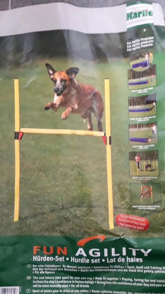 Agility Hundesport set in Eslarn