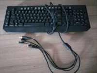 Razer Blackwidow v2 Mechanische Gaming Tastatur inkl. Razer Maus Niedersachsen - Cuxhaven Vorschau