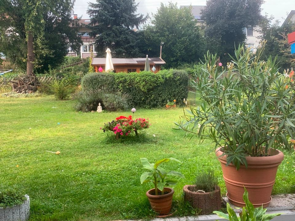 berufstät. Mitbewohnerin für Haus mit großem Garten in Wiesloch in Wiesloch