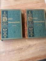 Deutsche Literaturgeschichte, 2 Bände von 1893, sehr gut erhalten Saarland - Blieskastel Vorschau