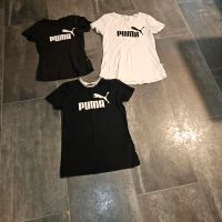 T-Shirt Puma Gr. 34 Essen - Stoppenberg Vorschau