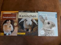 Bücher Zwergkaninchen Sachsen - Delitzsch Vorschau