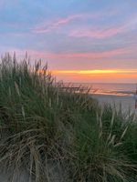 Ferienhaus Holland Cadzand, Nordsee, am Meer Nordrhein-Westfalen - Dormagen Vorschau