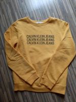 Jungen Calvin Klein Pullover Gr. 16 Jahre in gelb Bayern - Falkenfels Vorschau