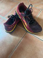 Escalante Running Schuh Berlin Marathon 2019 Brandenburg - Werneuchen Vorschau