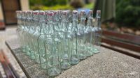 42 Glasflasche m. Bügelverschluss 0.75 Liter* auch einzeln 1,99 € Sachsen - Brand-Erbisdorf Vorschau