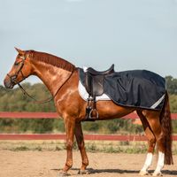 Horseware Amigo Hero Ausreitdecke UVP 59,95 jetzt 45.-€ mit Fleecefutter wasserdicht, winddicht, mit Reflektionsstreifen, Neuware robust 115,125,130,140,145,155,160 - S,M,L,XL navy, mit Klett AGPC90 Nordrhein-Westfalen - Kempen Vorschau