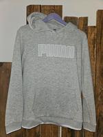 Puma Hoodie gr.38 grau Bayern - Burgbernheim Vorschau
